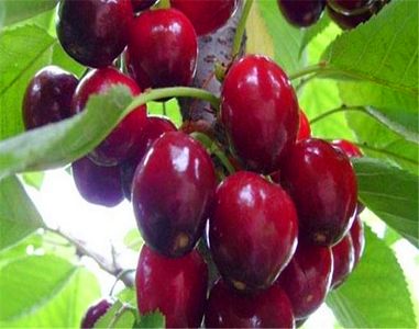 汉威科技预计一季度净利润同比增长10%-30%-ky.com(图1) 汉威科技预计一季度净利润同比增长10%-30%-ky.com(图1)