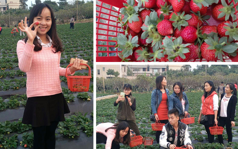 ky.com|中拍协举办首个o2o公益拍卖会65件拍品所得注入拍卖基金(图1) ky.com|中拍协举办首个o2o公益拍卖会65件拍品所得注入拍卖基金(图1)