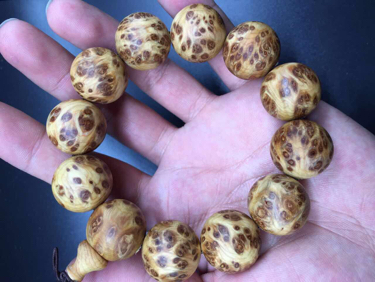 给年轻品牌一点时间:kycom(图2) ky com