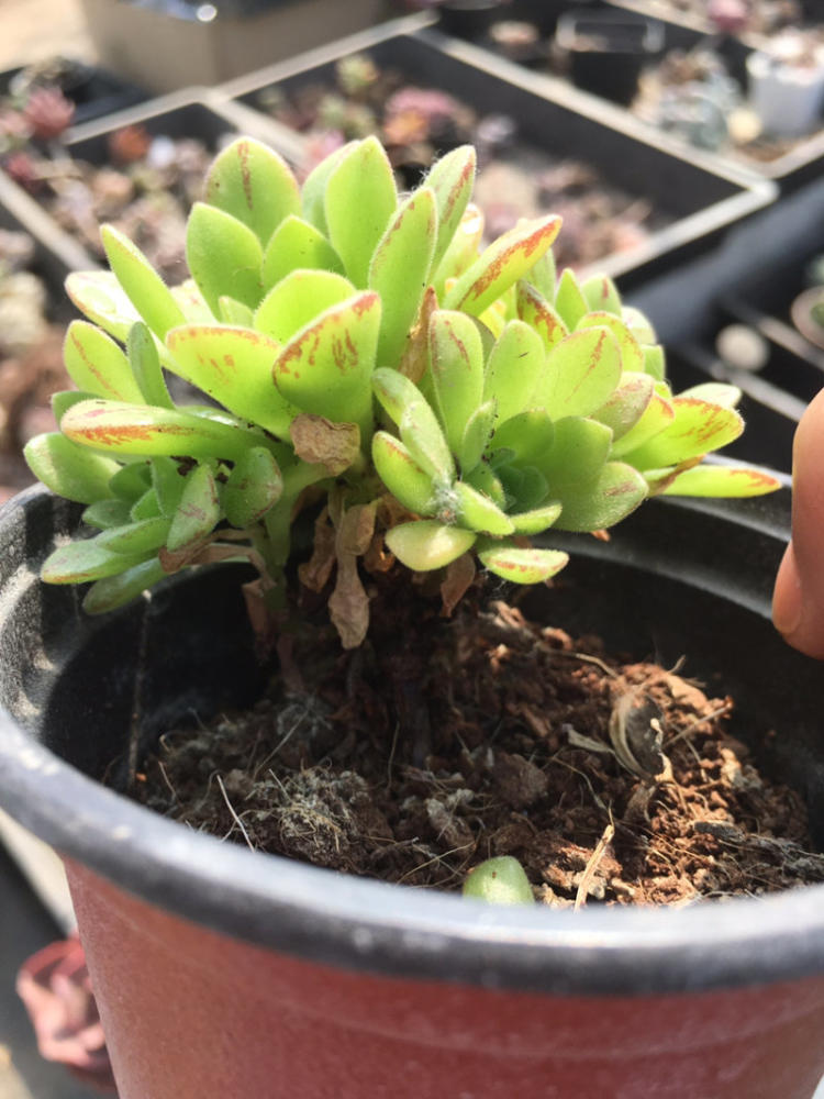 这项服务也可以在九堡街公共服务中心进行管理 过来看看！【ky.com】(图6)