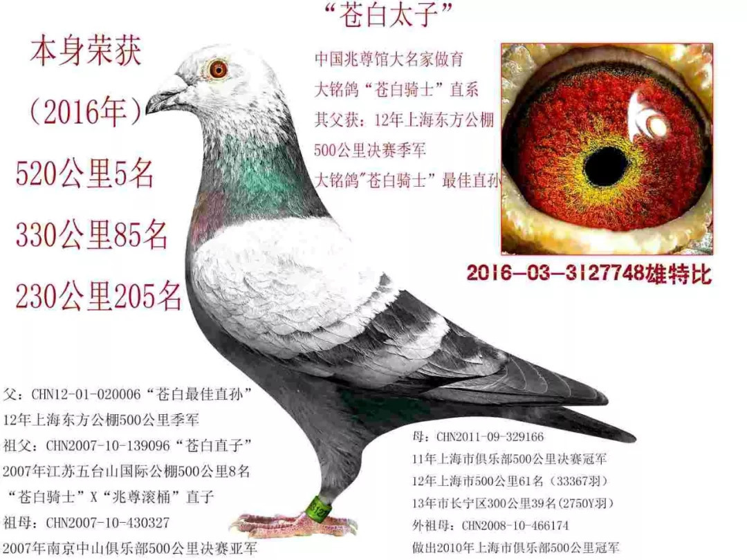 网约车合法化是分享经济的胜利:ky com(图2) 网约车合法化是分享经济的胜利:ky com(图2)