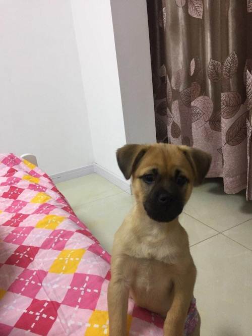 
高考作文模拟题导写：明白控制 成就人生|ky.com(图1)