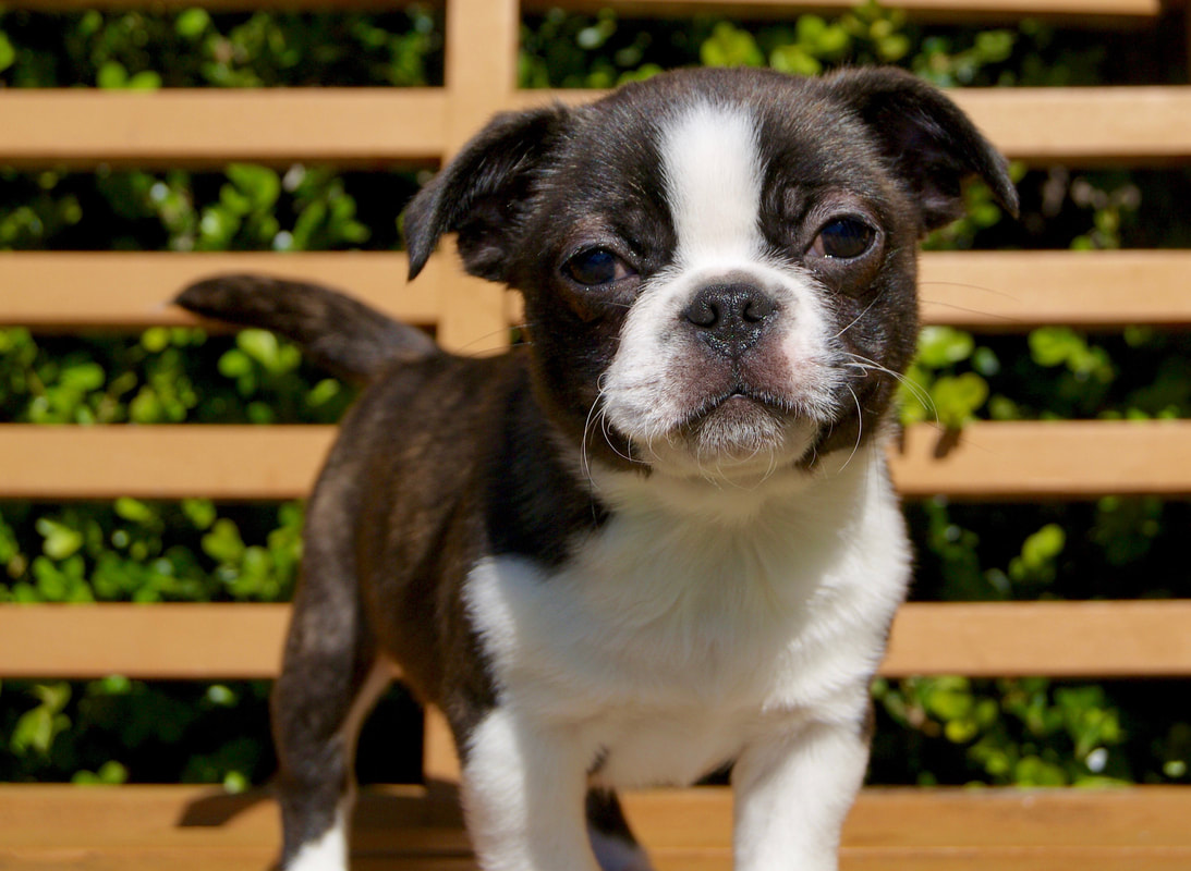 ‘ky com’
<h1>2015年大艺时代全国原创插画设计大赛 征稿章程(图2) ‘ky com’
<h1>2015年大艺时代全国原创插画设计大赛 征稿章程(图2)