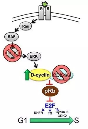 【kycom】奇顺投资：原油承压下挫， 跌至6个月新低(图3)