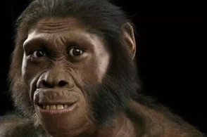 ky.com|生肖拜年地铁卡为何大涨(图3)