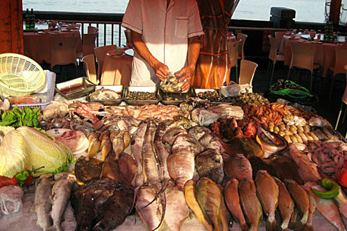 别畏惧犯错:科学怎样服务好社会?|ky.com(图2) ky com