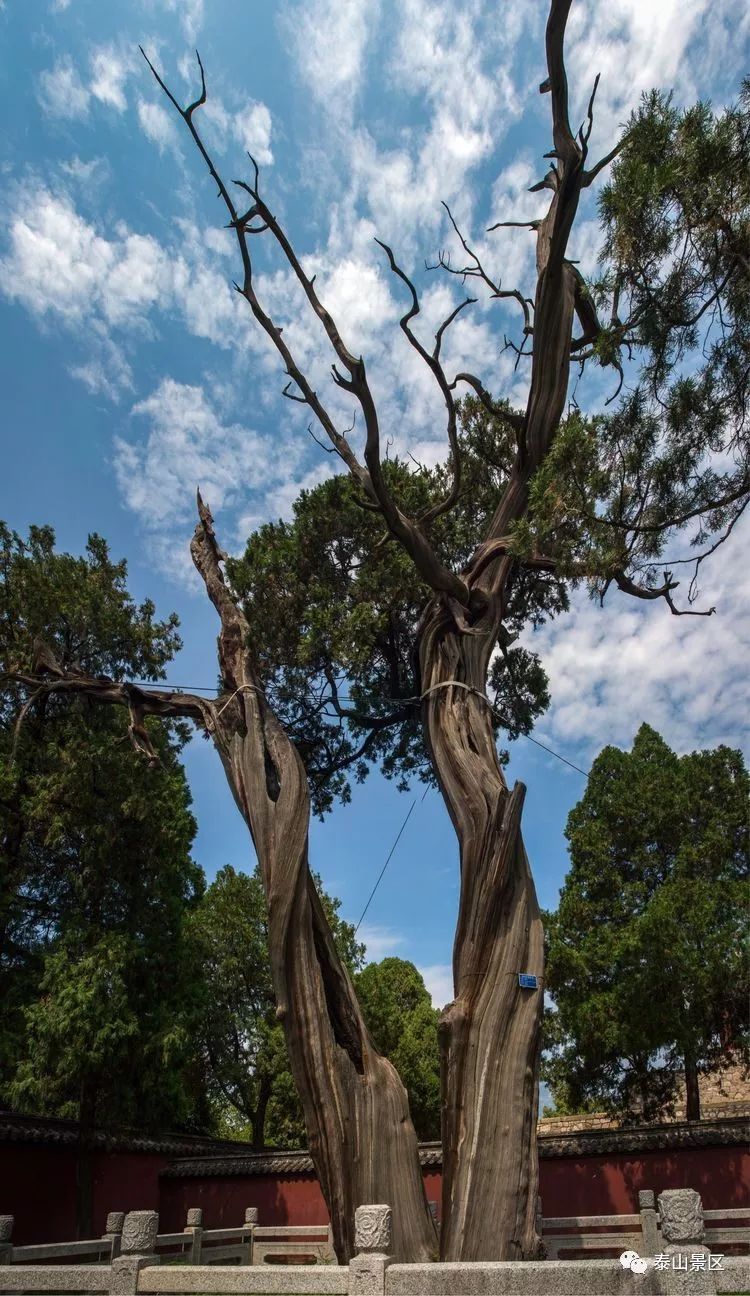 ky com_纪念币收藏价格遇冷店铺生意很冷清作者:丁倩2017-09-0108:23:47来源:大河报　核心提示|纪念币，本是央行为(图1)