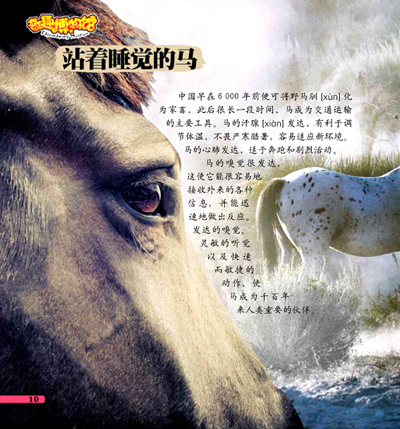 ‘kycom’兴蓉环境财报分析:2018年稳中求进看好未来水处理发展趋势(图1) ky com