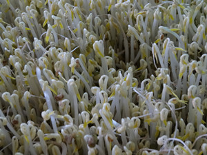 ky.com:
<h1>新媒体让“艺术教室”触手可及(图3) ky com