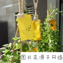 商道论市：3月2日期货主力操作策略【ky.com】(图2)