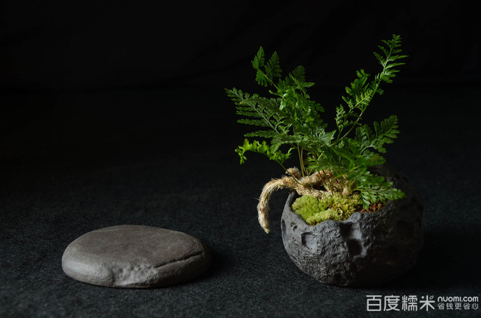 4个黑科技网站 涵盖险些所有素材资源 你懂的【ky com】(图6) ky com