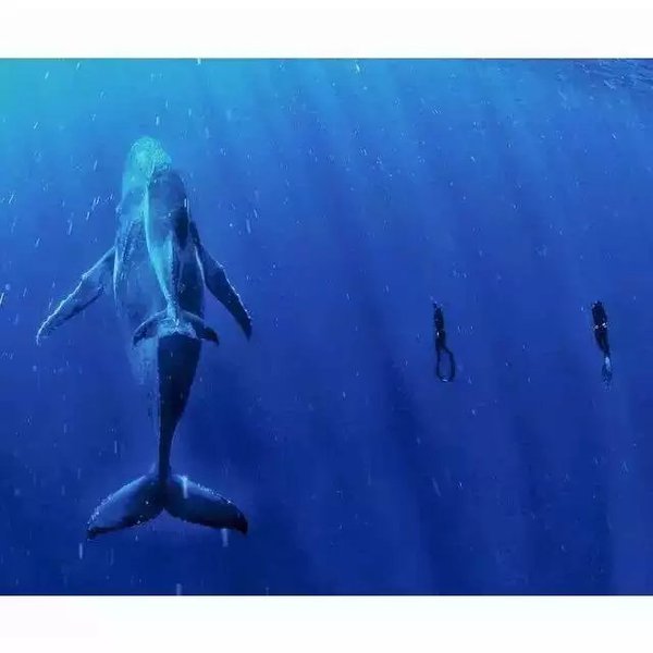 ‘kycom’康宁医院营收2.83亿元 同比增加49.27%(图1) ‘kycom’康宁医院营收2.83亿元 同比增加49.27%(图1)