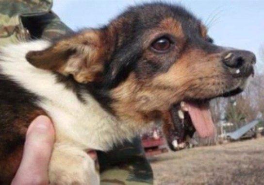 ky com_《2017全球艺术市场年度报告》发布(图2)