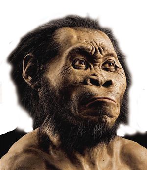 【kycom】
《浙江日报》理论 | 梁廷波：以革新创新精神打造现代化医学窗口(图3)