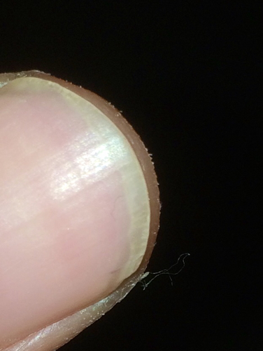 UWB高精度室内定位芯片制造商“精位科技”完成A轮融资-kycom(图4) UWB高精度室内定位芯片制造商“精位科技”完成A轮融资-kycom(图4)