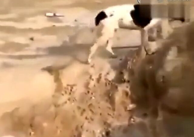 【ky.com】11亿主力资金近三日撤出锂电池概念股(图2)