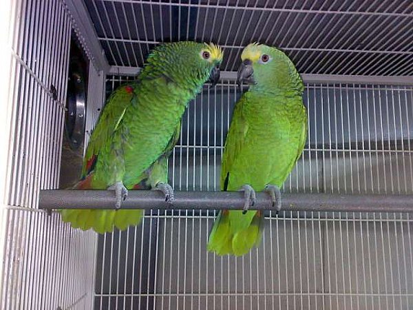 四川面向优秀村（社区）干部等群体定向考录公务员830名，快来报名-ky.com(图1)